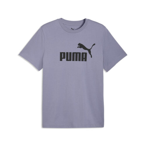 Puma TeamLiga Performance Soccer Socks (Variant 2)