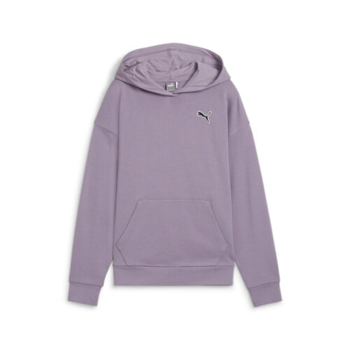 Puma Essential Big Logo Men's Fleece Hoodie