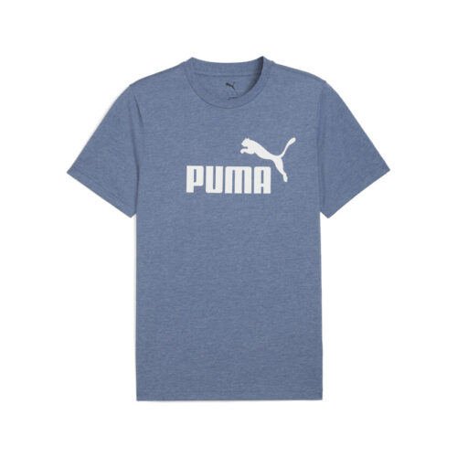 Puma TeamLiga Performance Soccer Socks (V5)